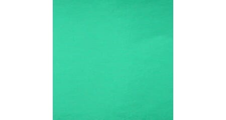 Mirrorcolor Grønn - 12x30,5 - 140 g