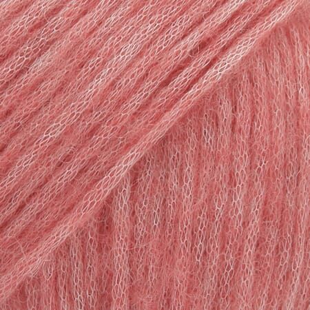 Air unicolor - 23 korallrev