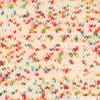Fiesta print - 27 vinter karnival