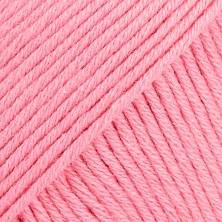 Safran unicolor - 02 rosa