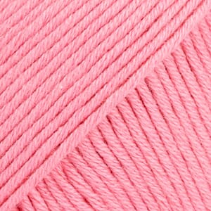 Safran unicolor - 02 rosa