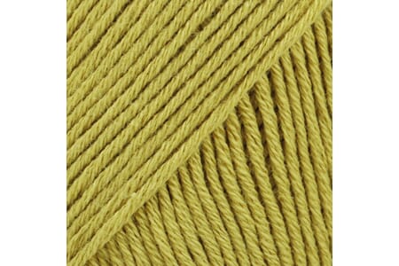 Safran unicolor - 61 lys lime