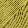 Safran unicolor - 61 lys lime