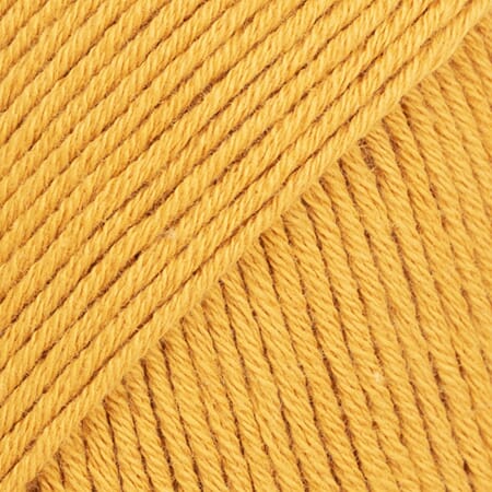 Safran unicolor - 66 sennep
