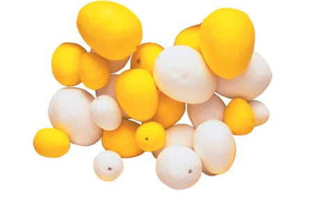 Vattegg 40x30 mm - HVITE - 30 stk