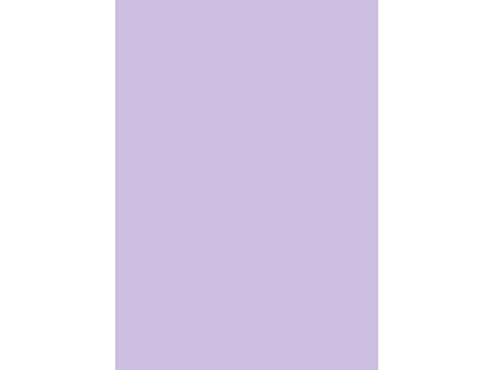 Lavendel A4 - 160 g - 10 stk