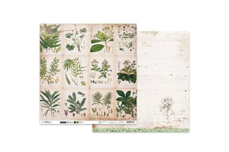 Romantic Botanic 03 - tosidig - 30x30