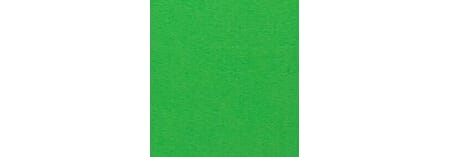 907 Gressgrønn - 12" x 12" - 200 g