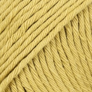 Paris unicolor - 61 lime