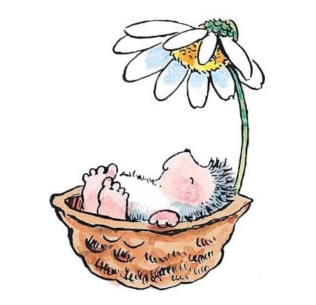 In a Nutshell - ca 5x6,5