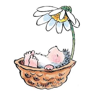 In a Nutshell - ca 5x6,5