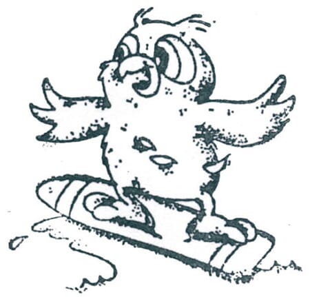 Ugle på surfebrett - ca 4x4