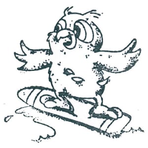 Ugle på surfebrett - ca 4x4