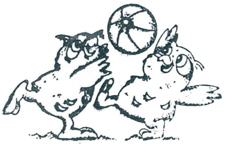 Ugler med ball - ca 5x3,5