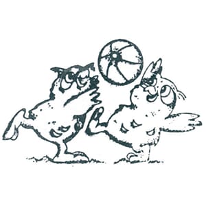 Ugler med ball - ca 5x3,5