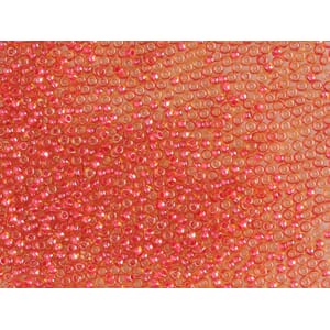 Bunadsperler - 11396 Rødorange m/ skinn